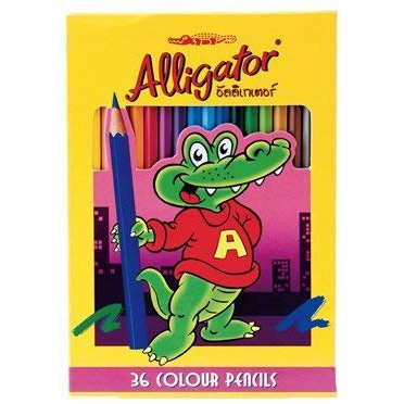 สีไม้ Alligator 36 สี สีไม้ ดินสอสี ดินสอสีไม้