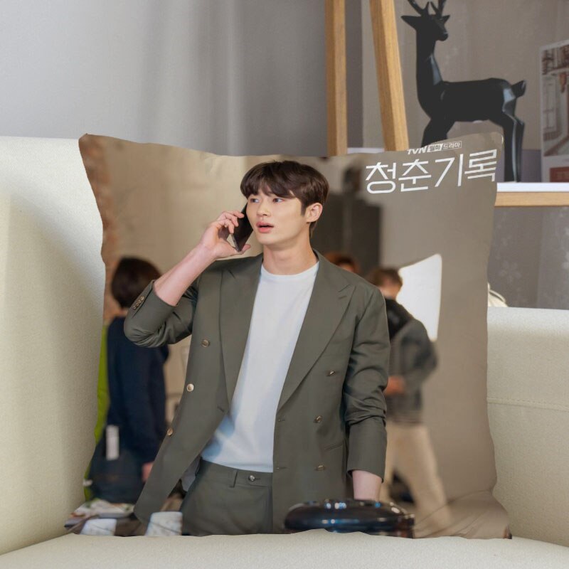 Byeon Woo Seok Cushion Pillow Tent,Office,Home Cotton Linen Zippered  Pillowcase Family Home Accessories Customizable One Side - AliExpress