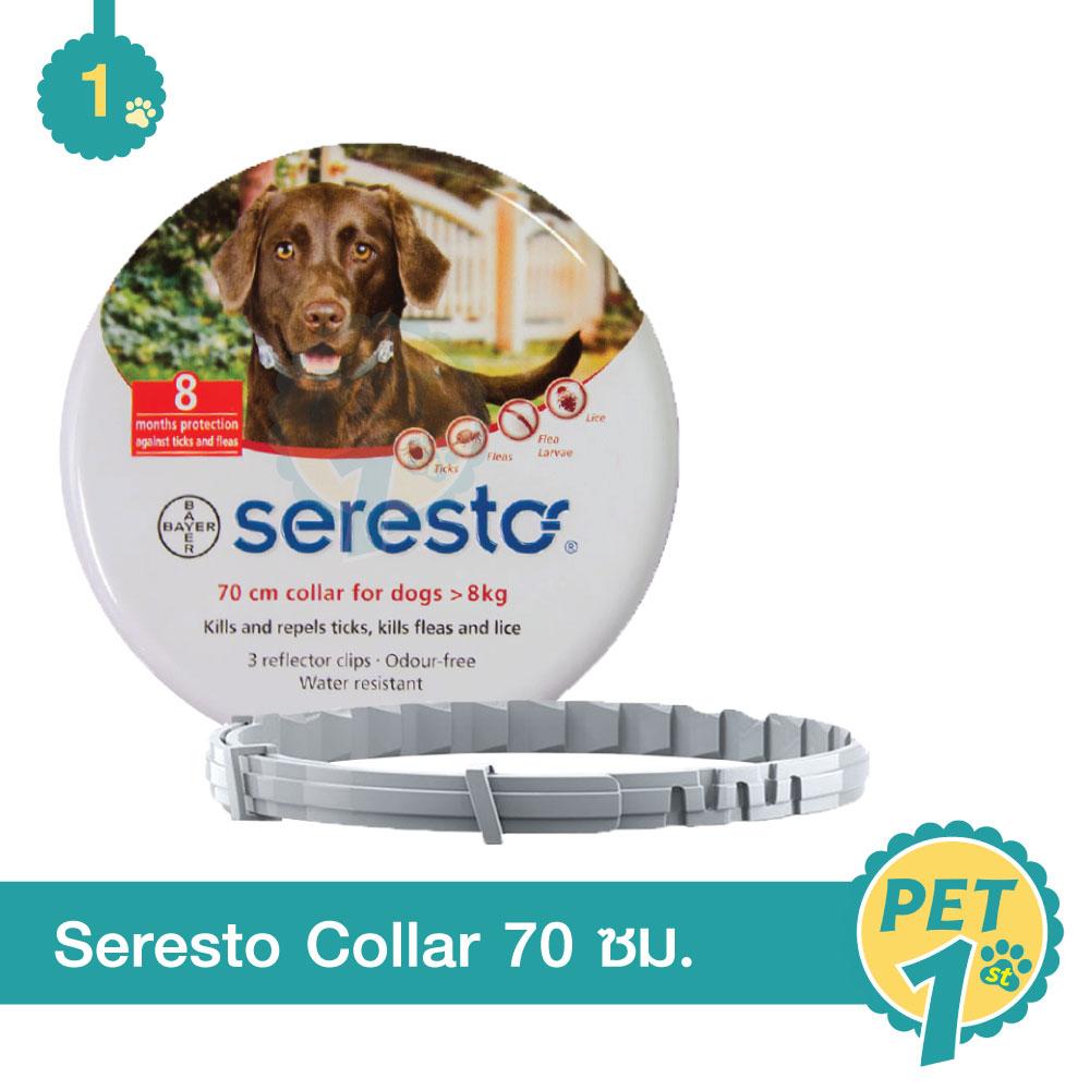 Bayer Seresto Dog 70 ซม. ปลอกคอกำจัด เห็บหมัด สุนัขน้ำหนักมากกว่า 8 กก. - 1 เส้น