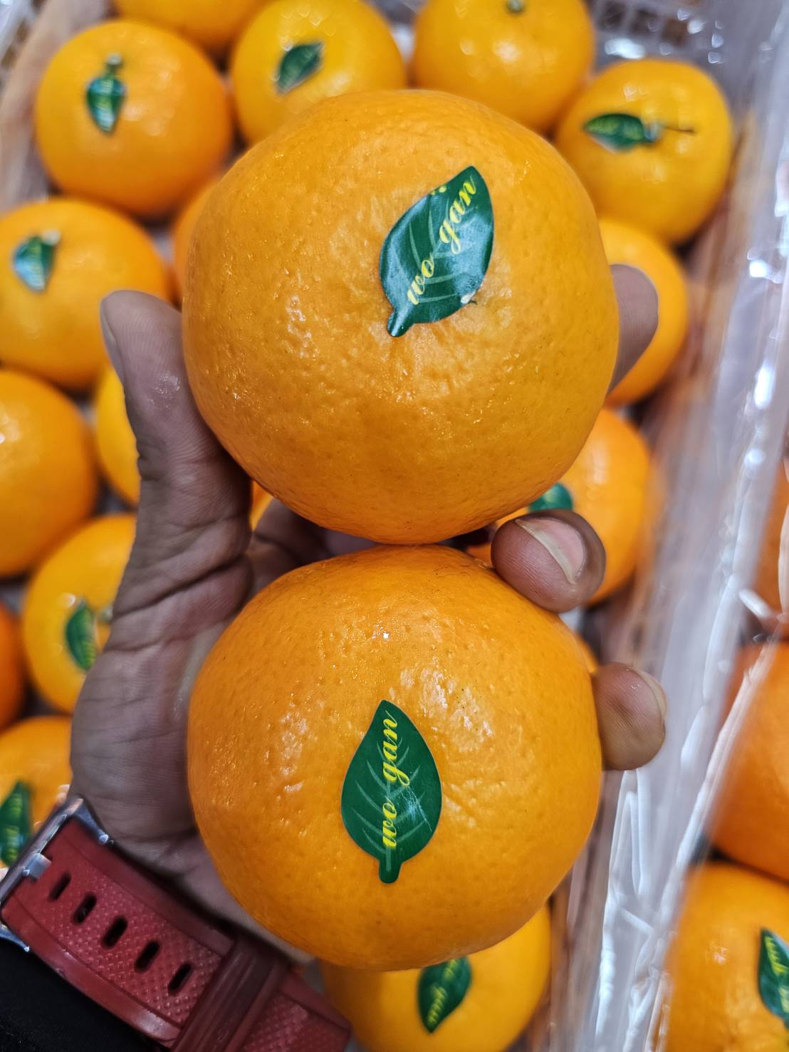 ส้มไต้หวัน 5 กิโลกรัมรวมกล่อง (ประมาณ 36 ลูก) - Rakdee fruit - ThaiPick