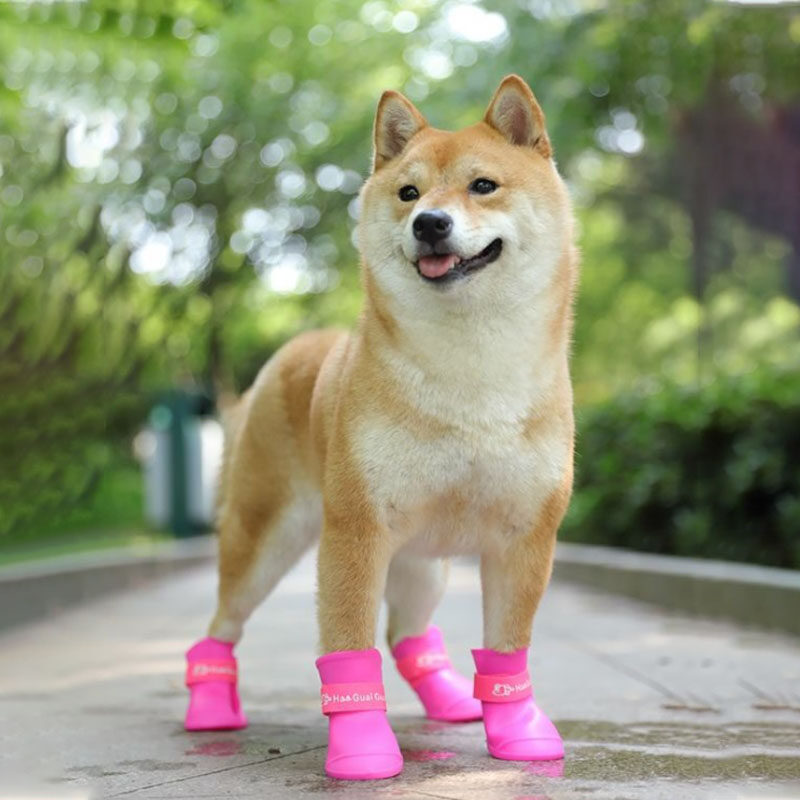 รองเท้าสุนัข ไซส์เล็ก-ไซส์ใหญ่ รองเท้าสุนัขโต รองเท้าหมา รองเท้าแมว รองเท้ายางกันน้ำ รองเท้าบูธสุนัข รองเท้ากันลื่น กันฝน วัสดุนิ่ม