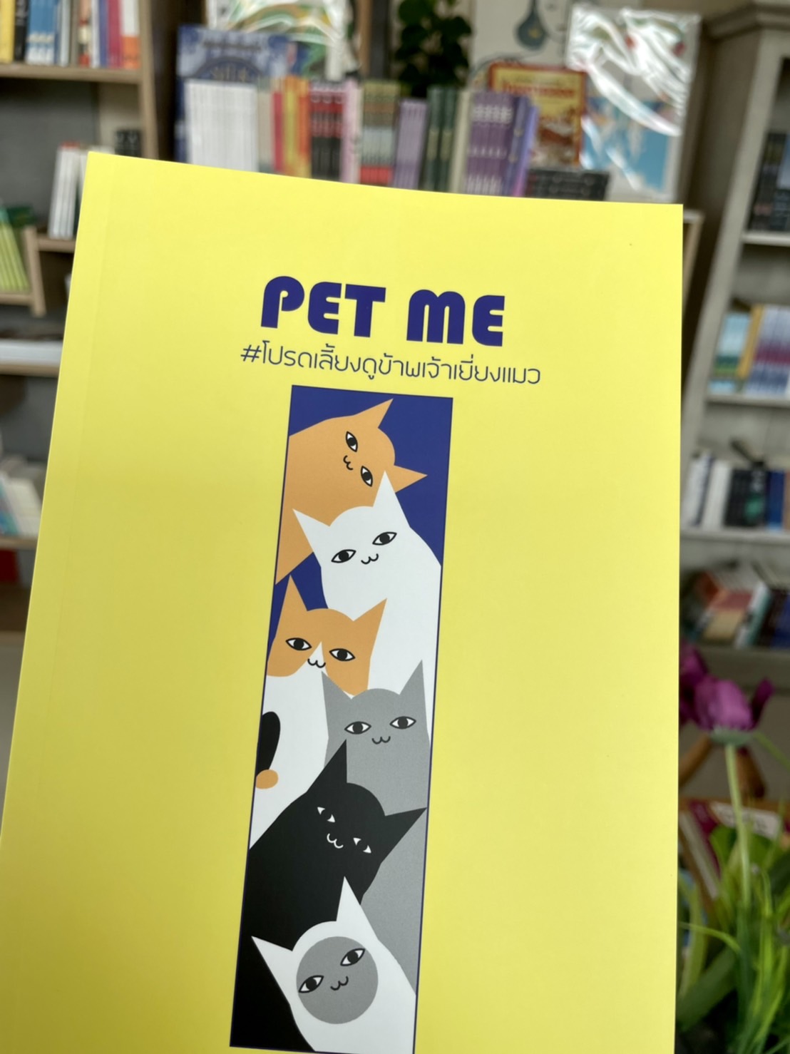 PET ME โปรดเลี้ยงดูข้าพเจ้าเยี่ยงแมว Raccool Lazada.co.th