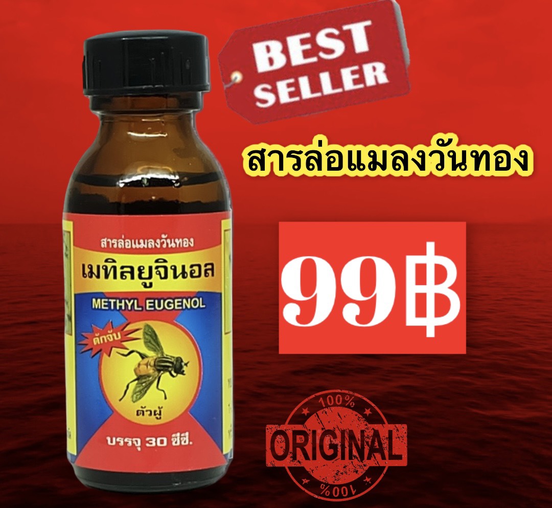 สารล่อแมลงทอง เมทิลยูจินอล (METHYL EUGENOL)ดักจับแมลงวันทอง ขนาด 30ซีซี