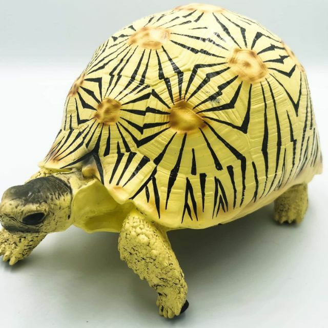 โมเดลเต่าเรซิ่น เต่าราเดียตา high yellow radiated tortoise ขนาด 15×22×22 ซม