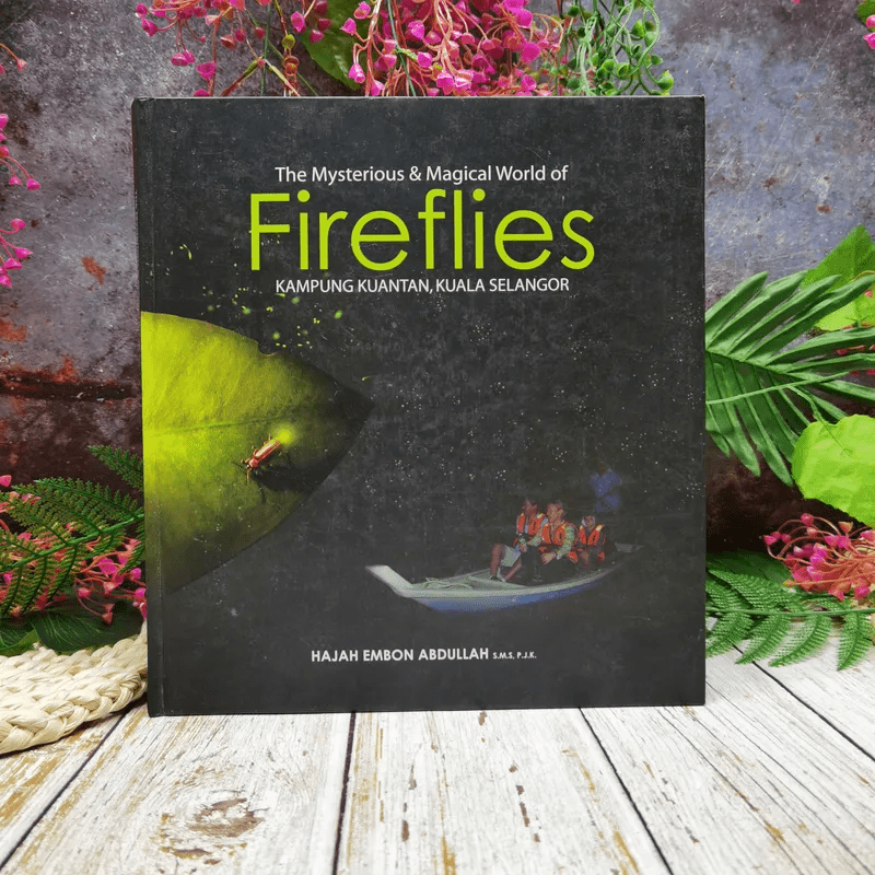 The Mysterious & Magical World of Firefiles