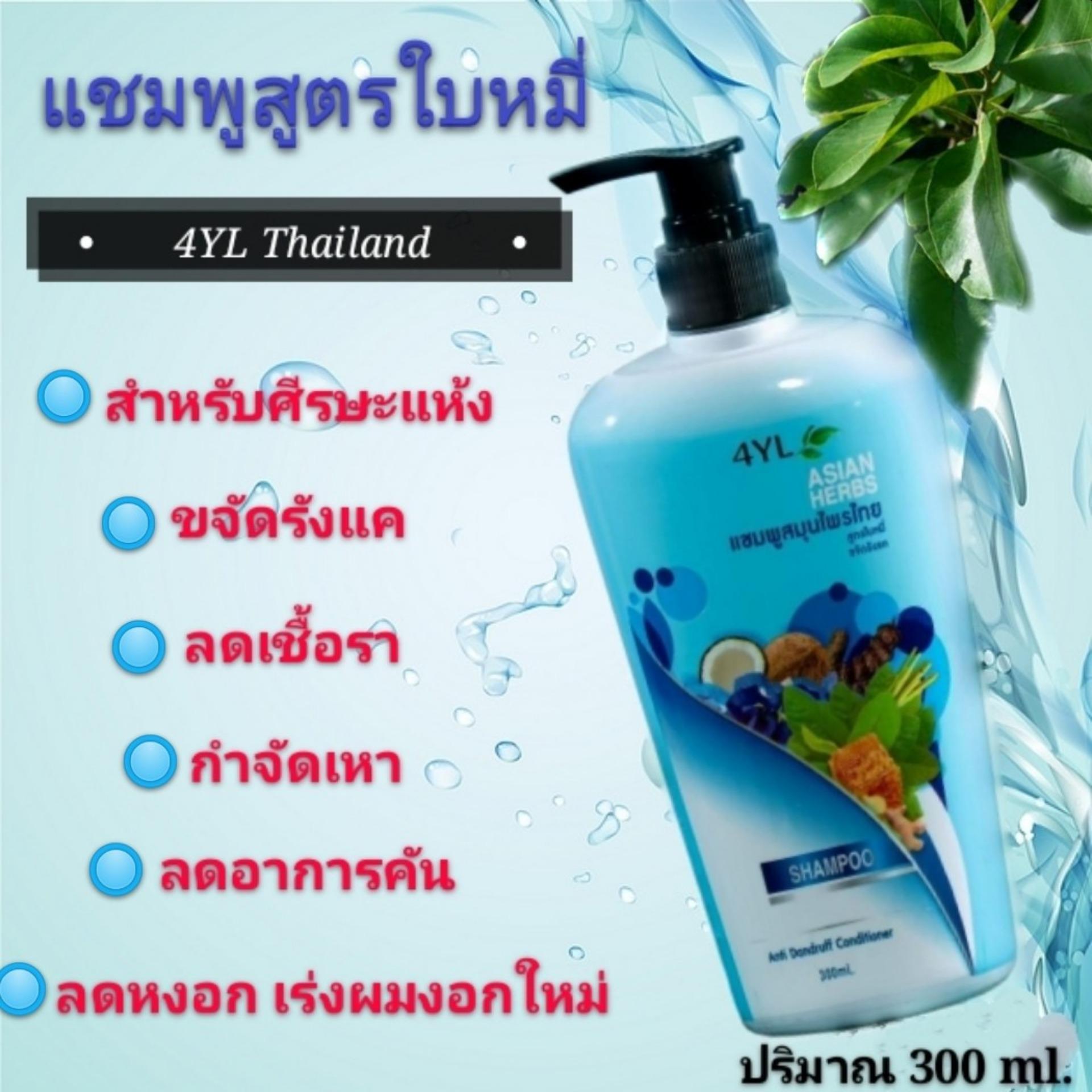 ☘️แชมพูสมุนไพรต้มสดสูตรใบหมี่ 4YL Thailand สูตรขจัดรังแค แก้เชื้อราบนหนังศีรษะ (เฉพาะแชมพู 1 ขวด)​