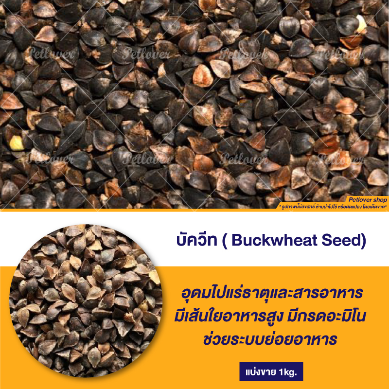 บัควีท Buckwheat Seed ร่อนฝุ่น (แบ่งขาย 1 kg.)