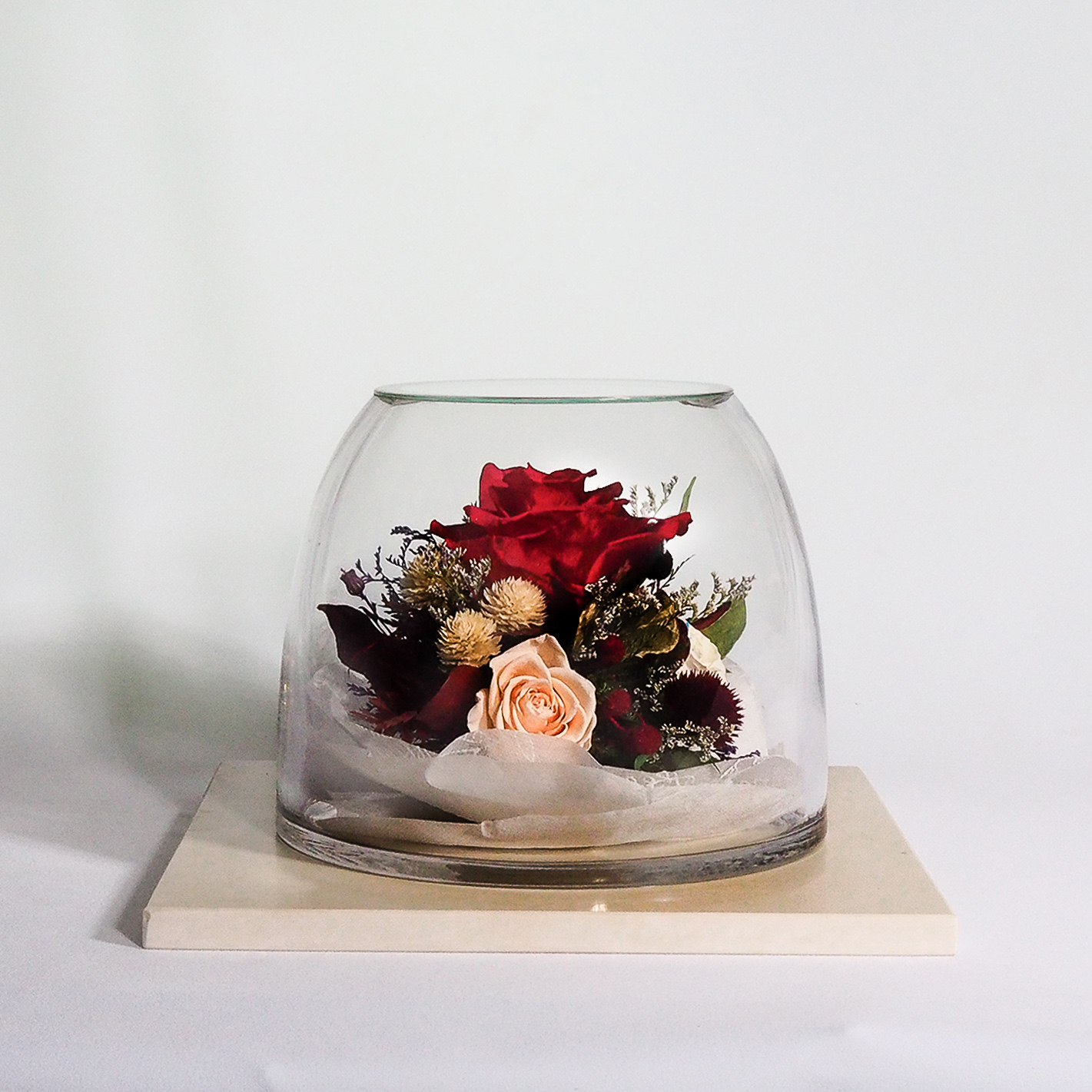 Preserved Flower Imported From Japan (Red-Ivery White-Pink Champagne)(67167). For Valentines, Gift, Home Decoration, Anniversary and present for your love ones. 100% natural flower.
