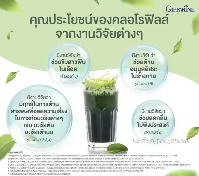 ภาพสินค้าคลอโรฟิลล์ ( 1 ซอง ผสมน้ำ 1.5 ลิตร ) CHLOROPHYLL จากร้าน Wealth.Giffarine บน Lazada ภาพที่ 5