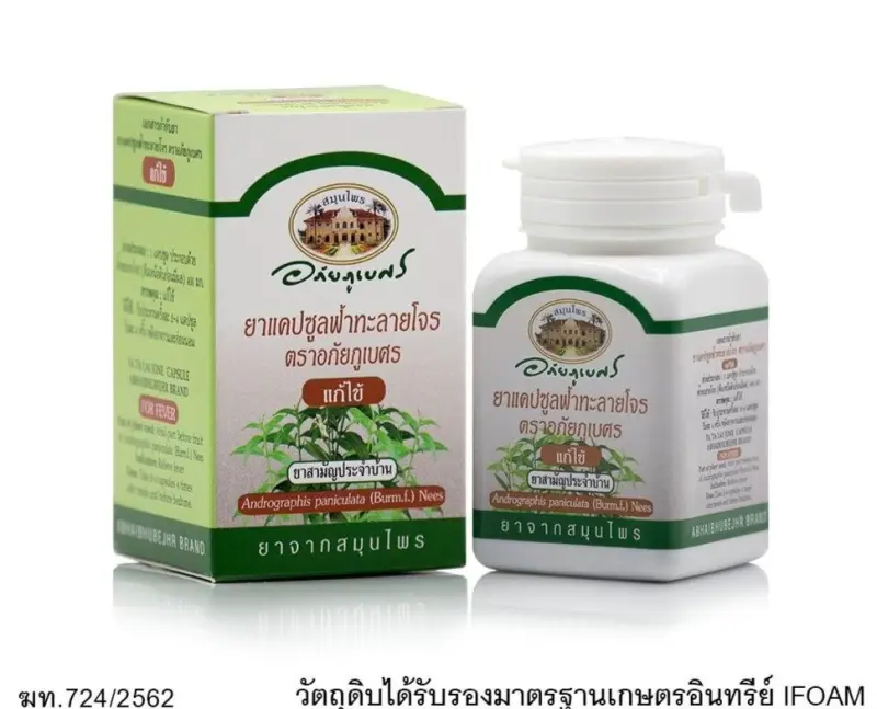 ภาพสินค้ายาแคปซูลฟ้าทะลายโจร แก้ไข้ อภัยภูเบศร 60 แคปซูล 2 ขวด จากร้าน Pharmacare-OfficialStore บน Lazada ภาพที่ 2