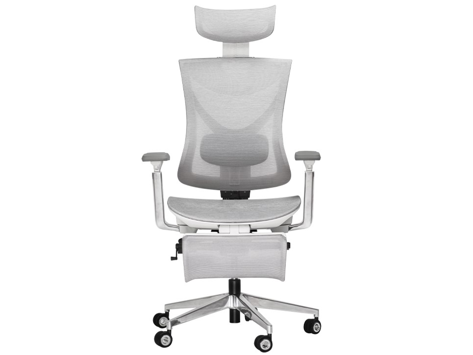 [By-Order] ERGONOZ THORA PROFESSIONAL ERGONOMIC CHAIR (LIGHT GREY) ราคา 18,400 บาท*ส่งฟรี