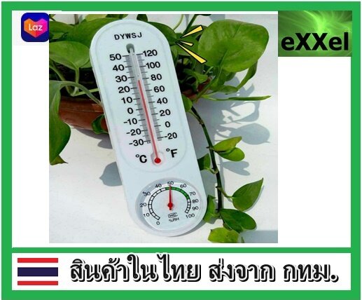 Wall-mounted Analog Thermometer Hygrometer Humidity Monitor Meter X4J4