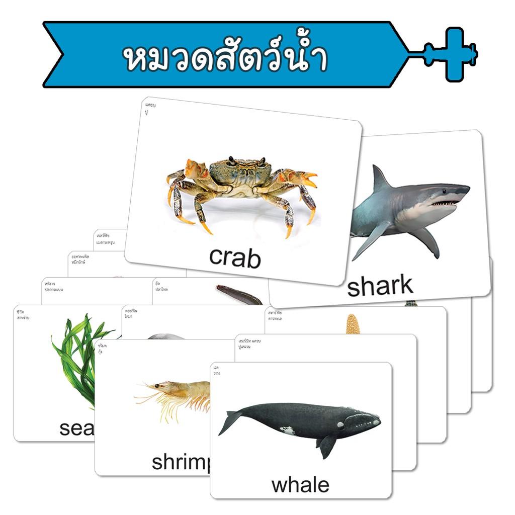 My Image 16