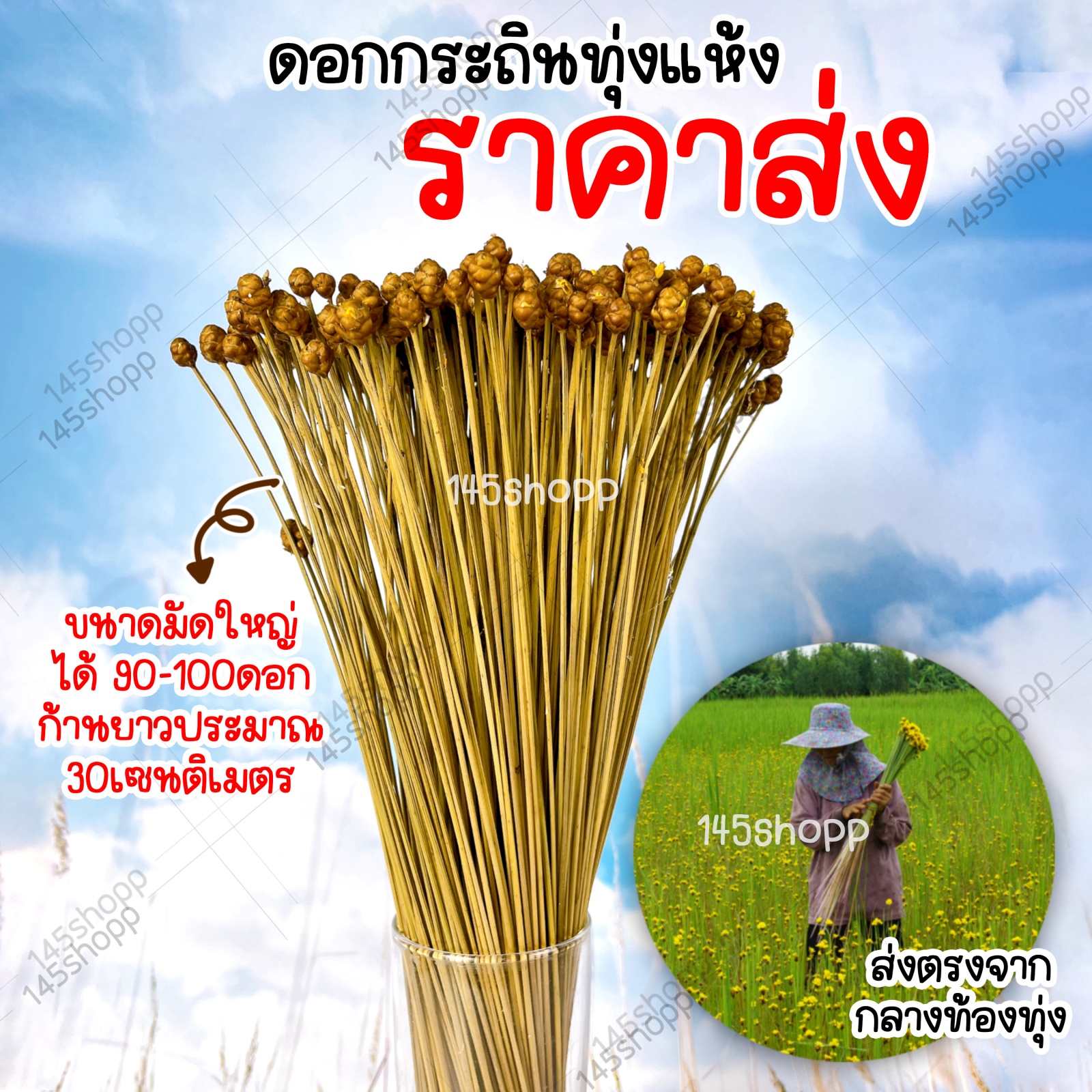 My Image 20