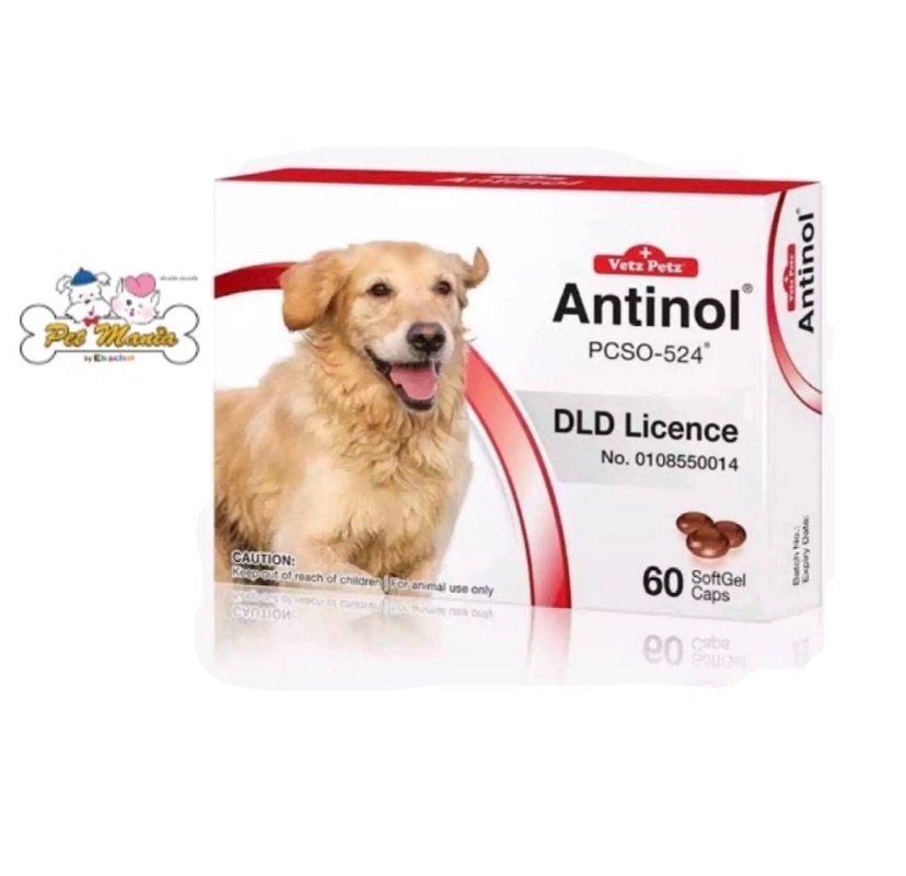 Antinol DOG อาหารเสริมบำรุงข้อสำหรับสุนัข 1กล่อง บรรจุ 60 เม็ด เลขทะเบียนอาหารสัตว์0108550014
