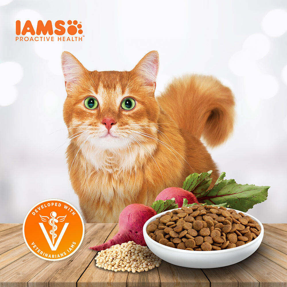 IAMS ไอแอมส์ โปรแอคทีฟ เฮลท์ อาหารแมวพรีเมียม – อาหารเม็ดแมว รสทูน่าและแซลมอน, 400 ก.