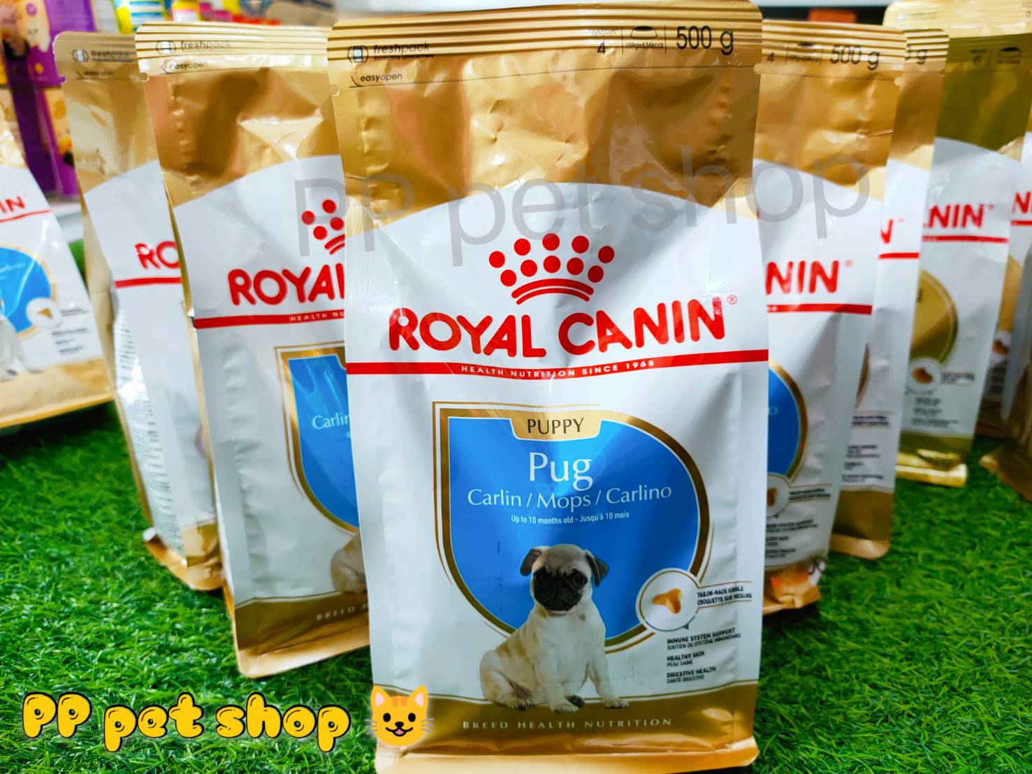 Royal Canin Pug Puppy โรยัล คานิน สำหรับลูกสุนัขโต พันธุ์ปั๊ก อายุ 2