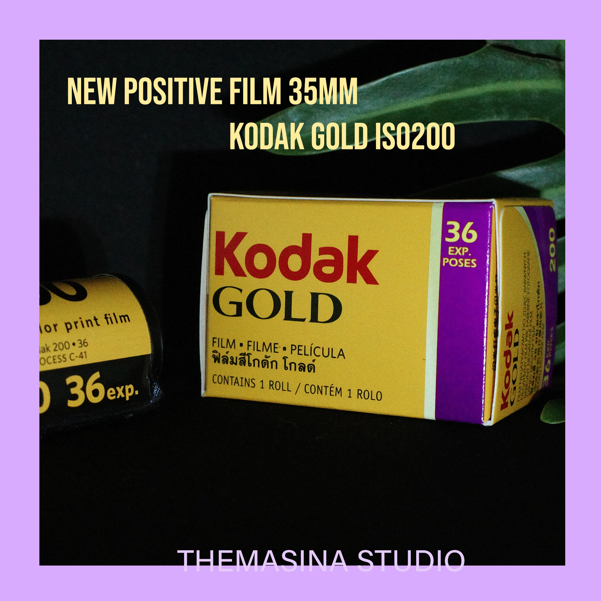 ฟิล์มถ่ายรูป KodakGOLD (36รูป)Exp2024 ฟิล์มสี ฟิล์มใหม่ แท้100 ฟิล์ม ...