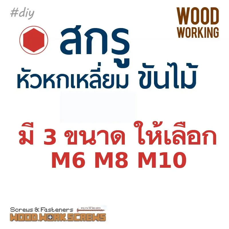 ภาพสินค้าน้อตหัวหกเหลี่ยมขันไม้ M6-M8-M10 สกรูเกลียวปล่อยงานไม้ ปลายแหลม สกรูหัวบล็อคยิงไม้ Hex Head Lag Screw 4 ตัวต่อถุง จากร้าน WoodScrews บน Lazada ภาพที่ 4