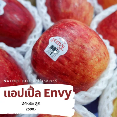 Envy Apple แอปเปิ้ลเอนวี่ แอปเปิ้ลแดง USA/New Zealand 24-35 ลูก