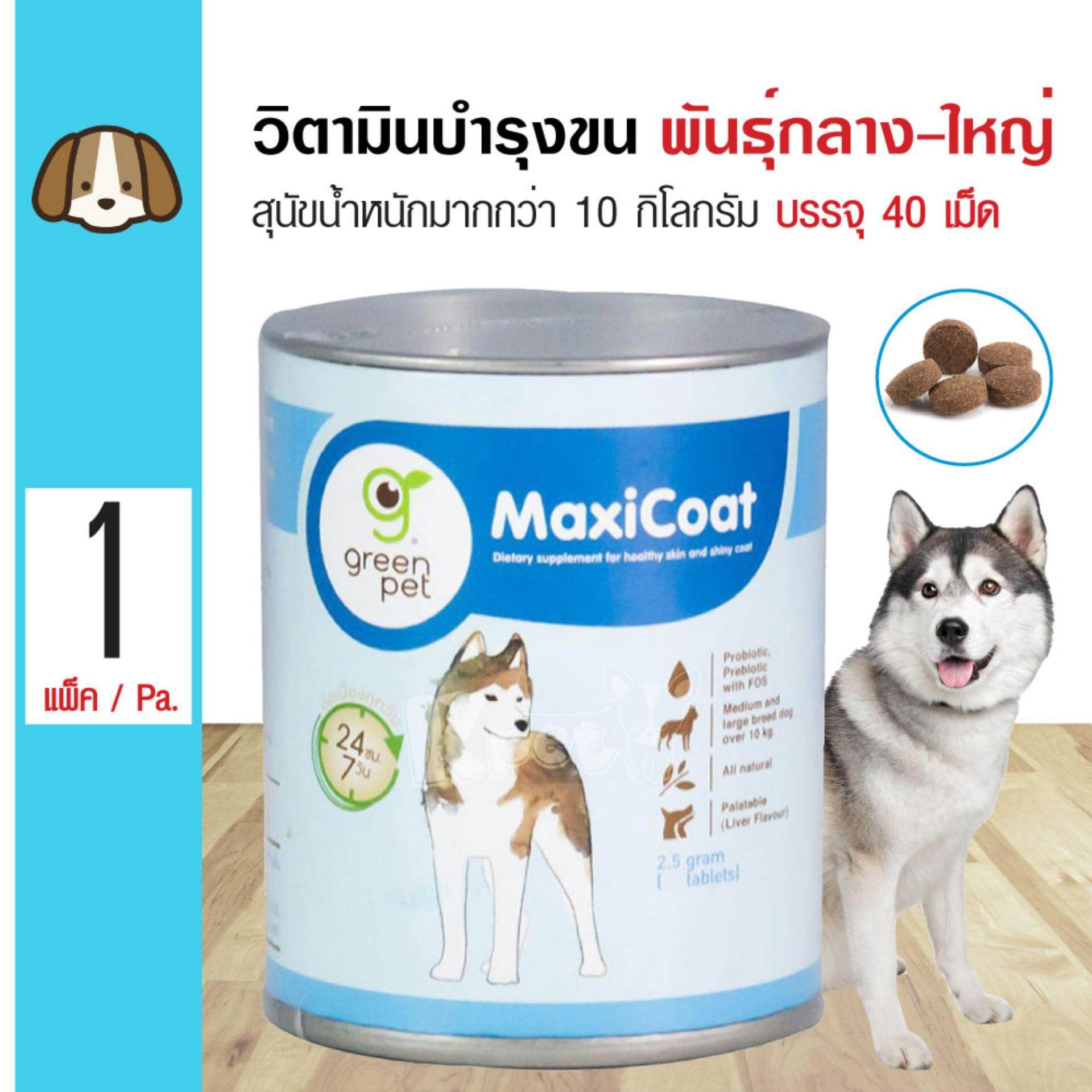 Maxicoat Dog อาหารเสริมวิตามินบำรุงขนและผิวหนัง ลดอาการขนร่วง สำหรับสุนัขพันธุ์กลาง-ใหญ่ น้ำหนักมากกว่า 10 กิโลกรัม (จำนวน 40 เม็ด/ กระปุก)