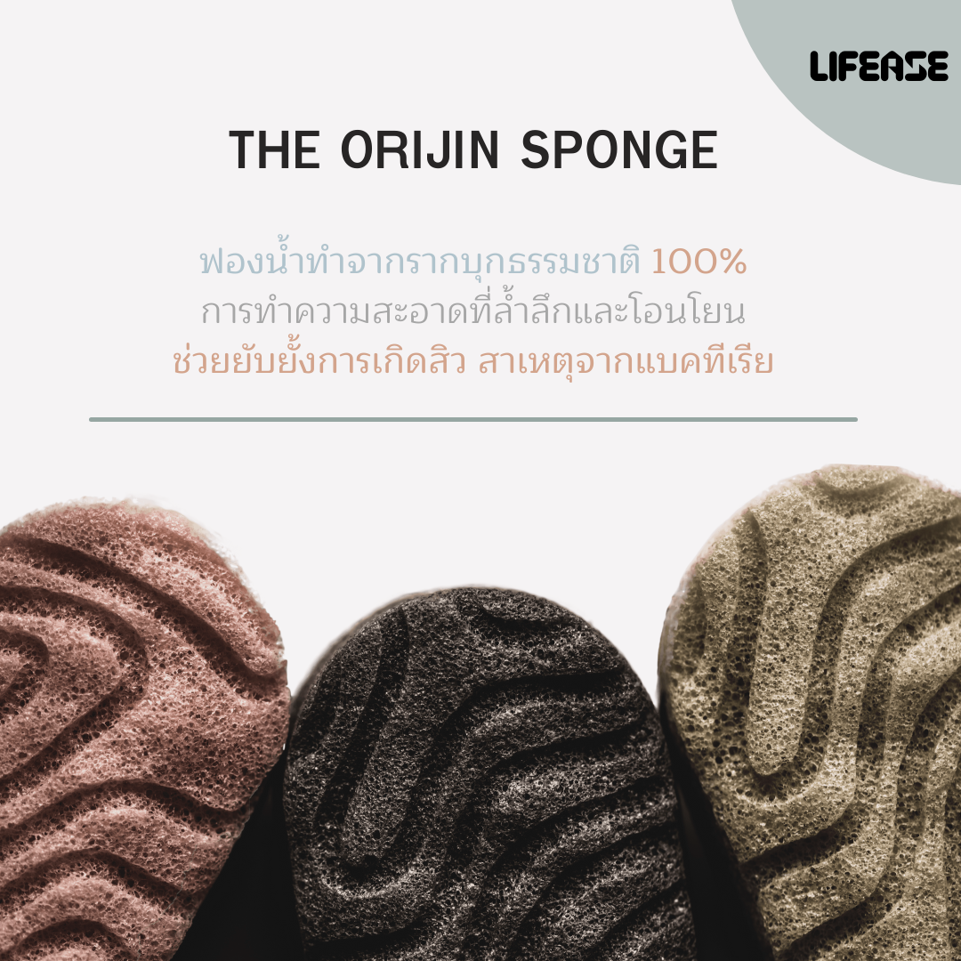 The Orijin Sponge