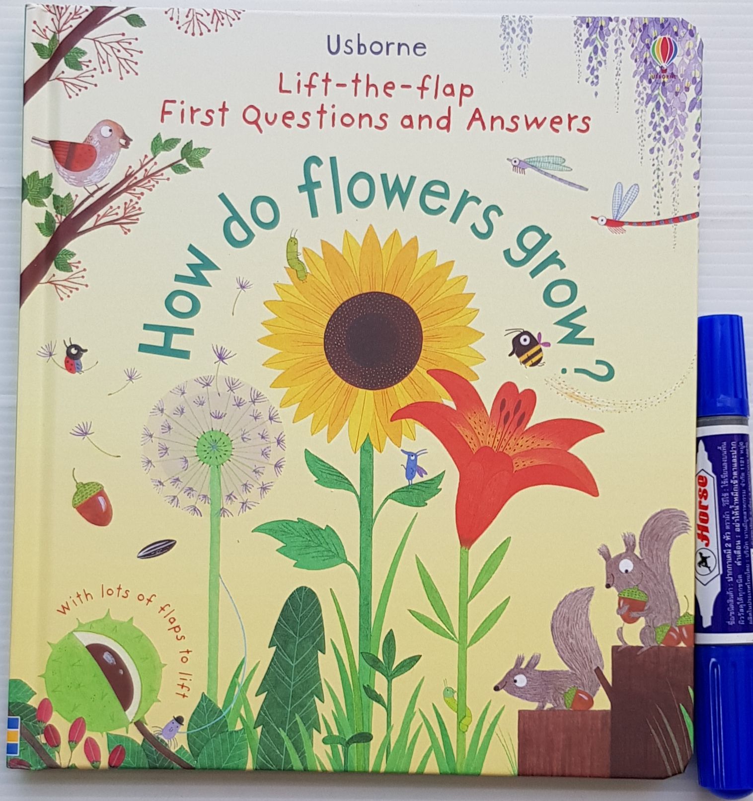 How do flowers grow? กระดาษแข็งหนาทุกหน้าเหมาะสำหรับ 3+ Lazada.co.th