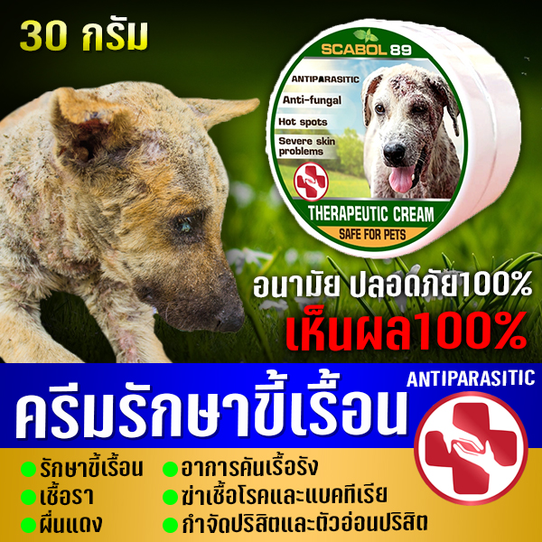 📢 ส่ง Flash เร็วมาก!!! ครีมทาแก้ขี้เรื้อน (สูตรหมา) ขี้เรื้อนเปียก ขี้เรื้อนแห้ง ยีสต์ เชื้อรา ผิวหนัง แผลตกสะเก็ด แผลเป็นหนอง ใช้ SCABOL 30 g.