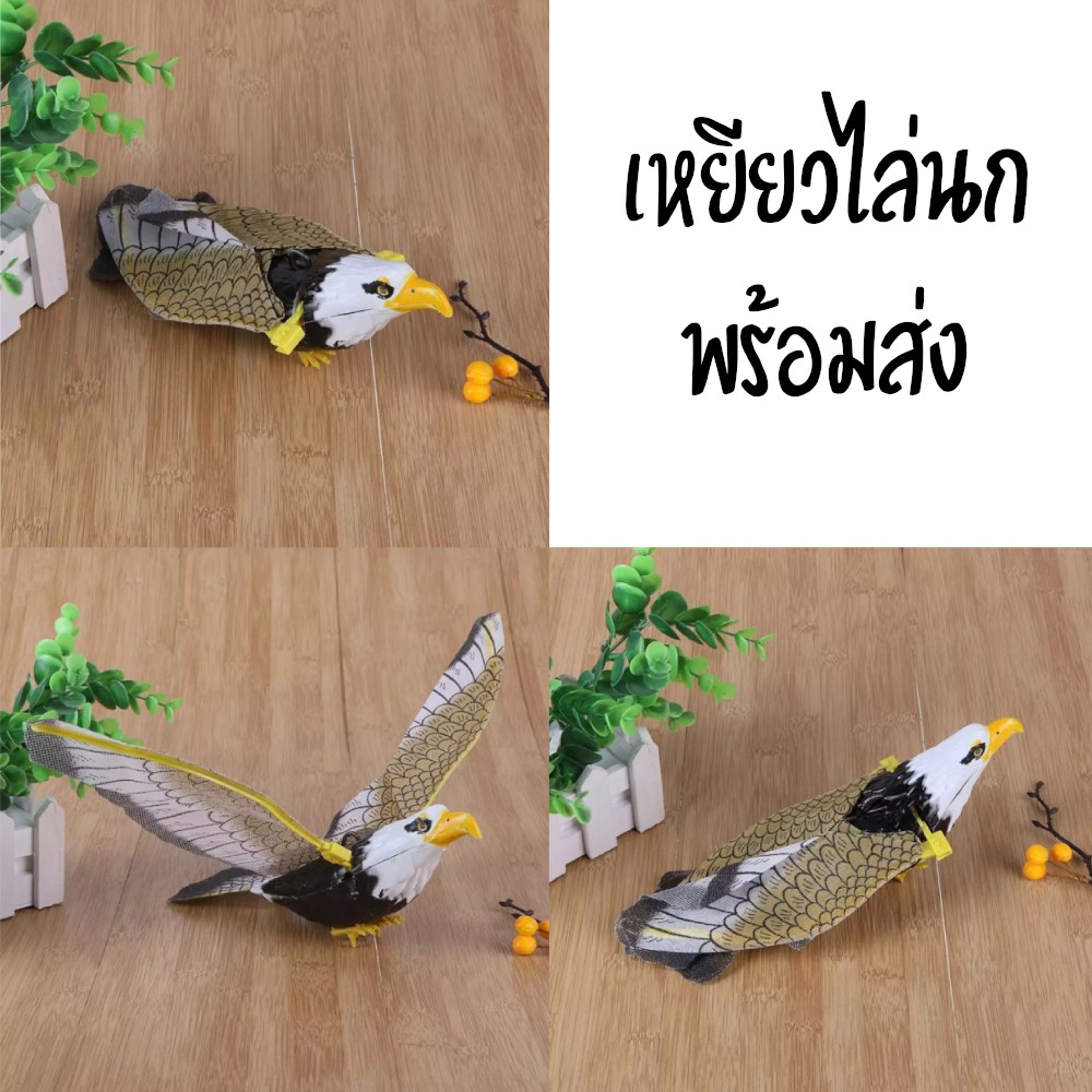 My Image 77
