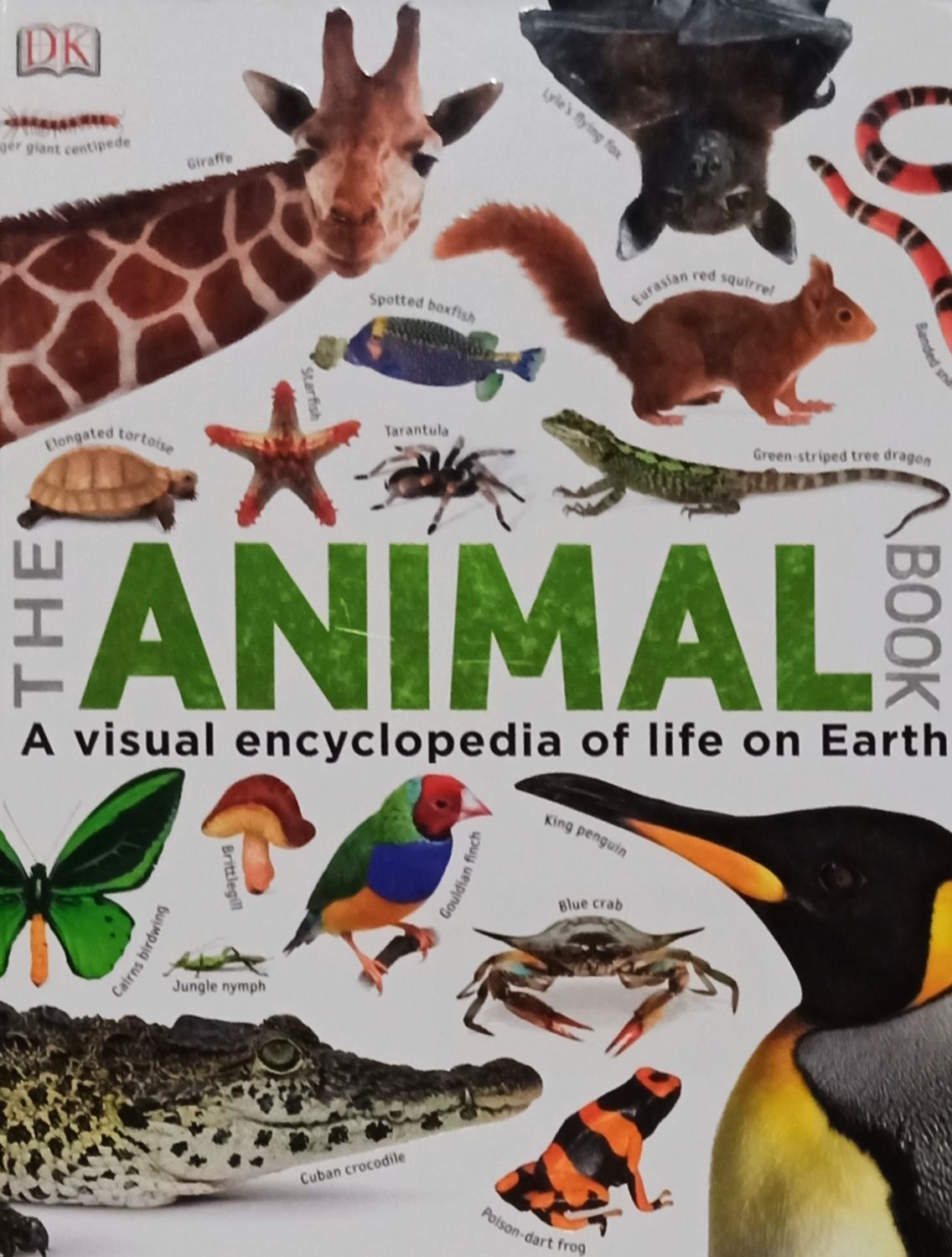 The Animal Book (Hardcover)