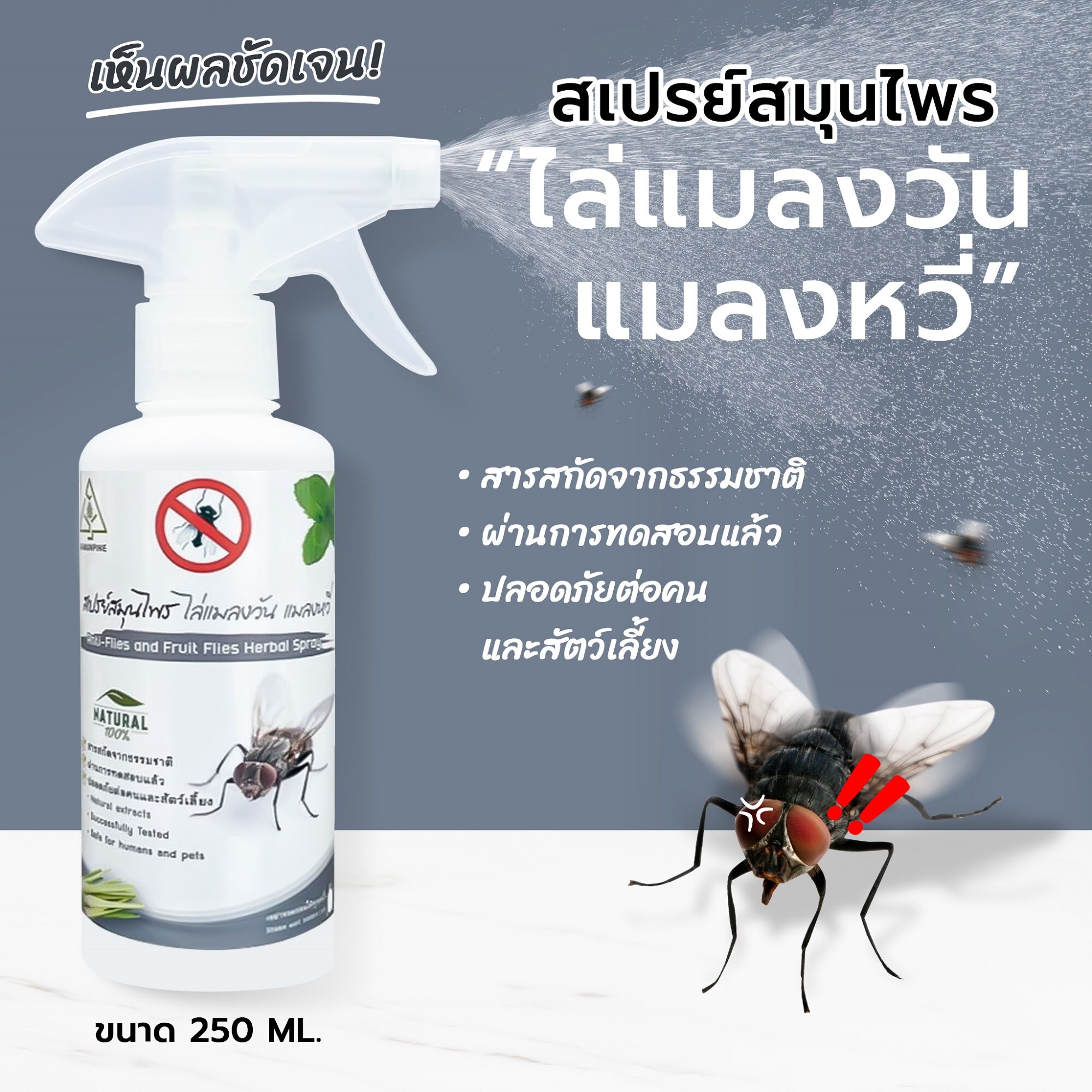 ไล่แมลงวัน แมลงหวี่ Samunpine สเปรย์สมุนไพร ขนาด 250 มล./Anti-Flies And  Fruit Flies Herbal Spray 250 Ml. (ไล่ได้จริง / ไร้สารเคมี /  เห็นผลชัดเจนหลังใช้) ** ขายดีอันดับ 1 | Lazada.Co.Th