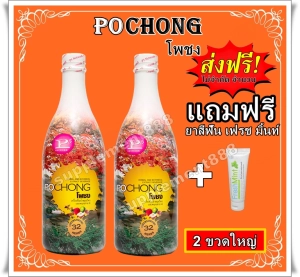 ภาพหน้าปกสินค้าโพชง เครื่องดื่มสมุนไพร Pochong 2 ขวดใหญ่ ฟรี ยาสีฟัน ส่งฟรี เครื่องดื่มบำรุงสุขภาพ ที่เกี่ยวข้อง