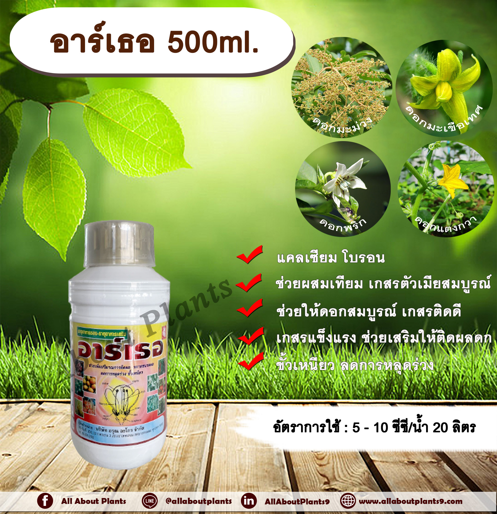 My Image 26