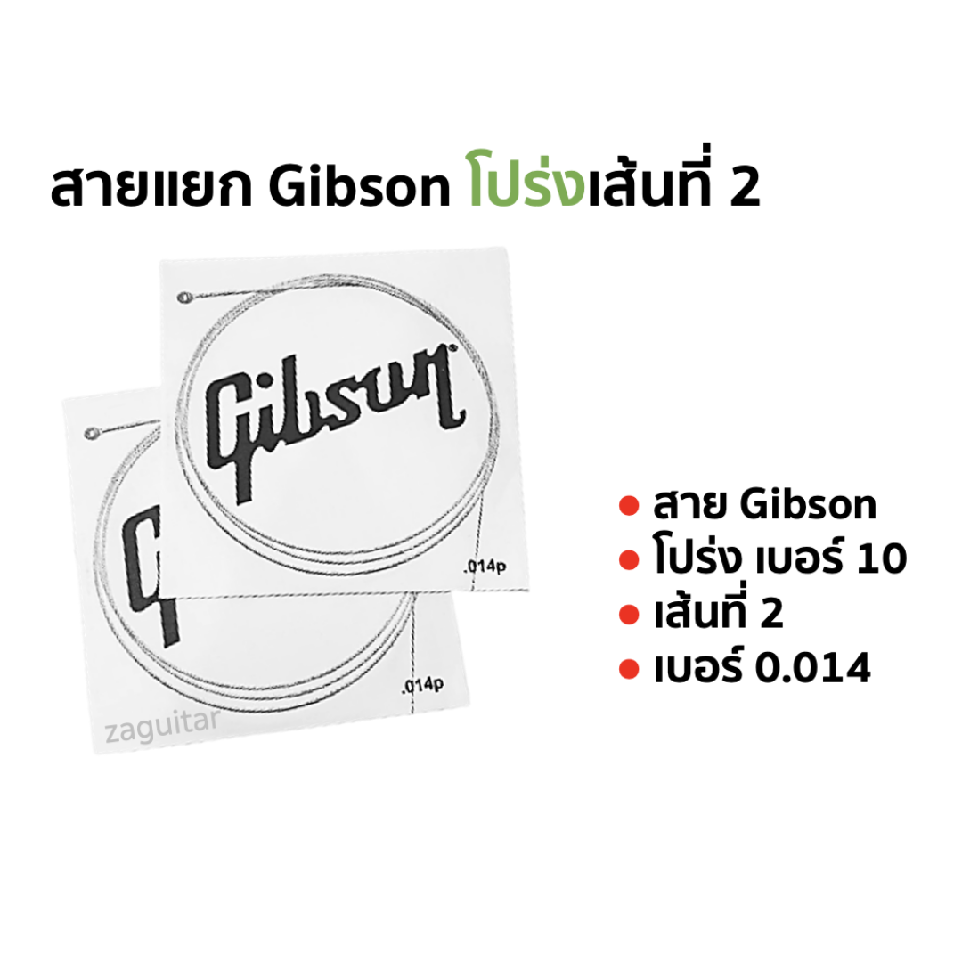 สาย Gibson ขายแยก 1 เส้น  โปร่ง/ไฟฟ้า สายที่ 1-3 พร้อมส่งเก็บปลายทาง สี สายโปร่ง เส้นที่ 2 = 0.014p สี สายโปร่ง เส้นที่ 2 = 0.014p