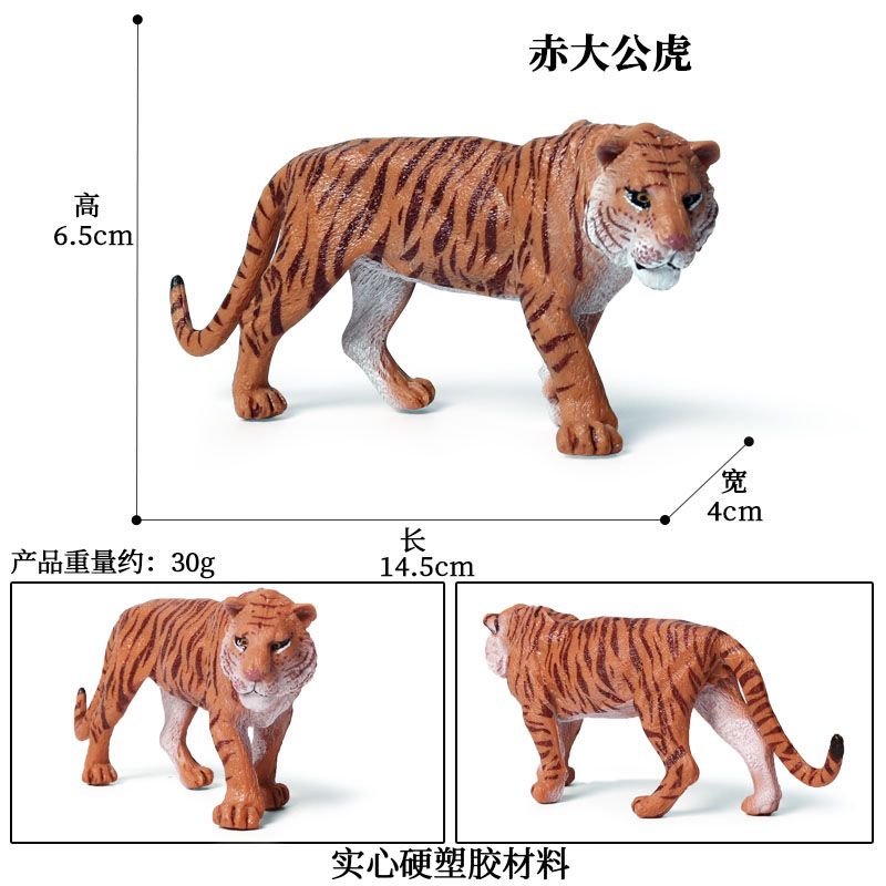My Image 34