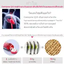 ภาพขนาดย่อของภาพหน้าปกสินค้าPn's Pride CoQ10 คิวเท็น ต้านอนุมูลอิสระ 200 mg / 240 Softgels *new packaging*EXP.10/2024 จากร้าน ศาลาเพื่อสุขภาพ บน Lazada ภาพที่ 7