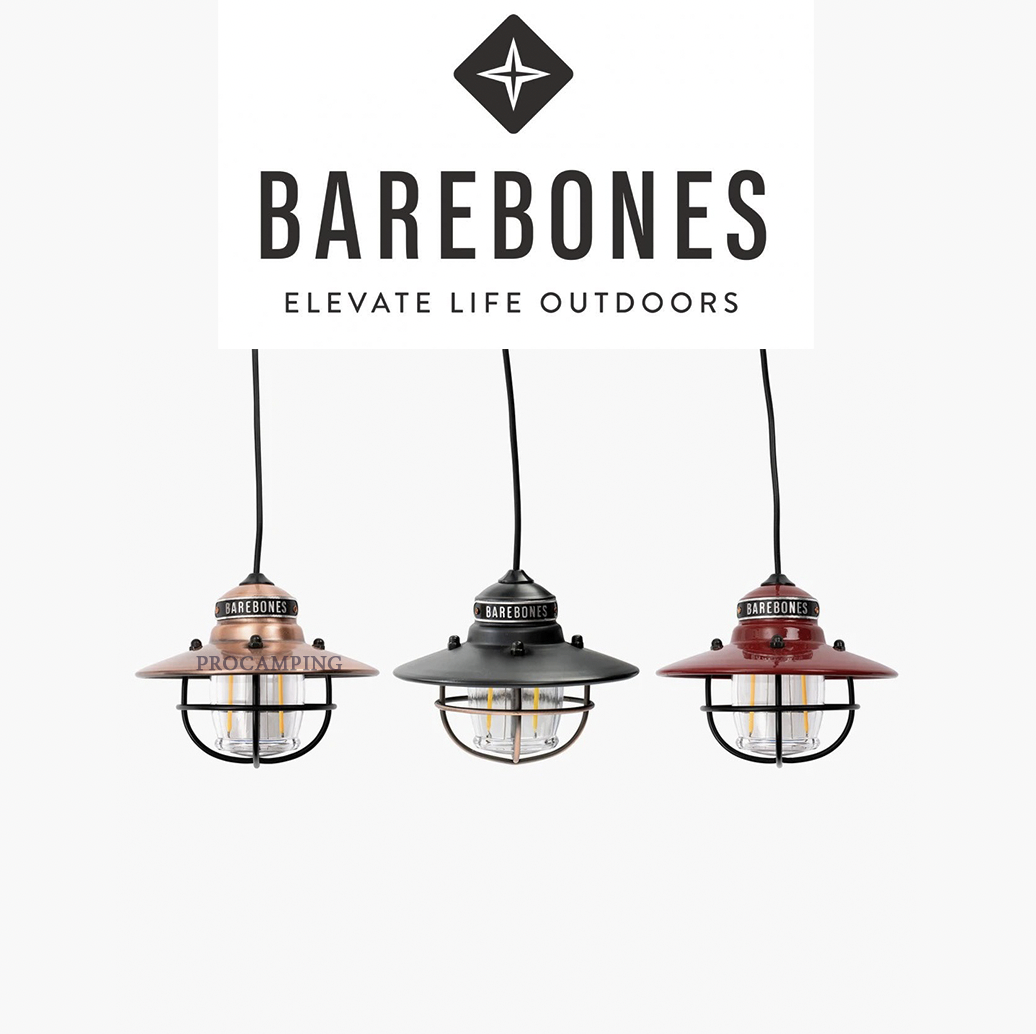 Barebones Edison Pendant Light LED