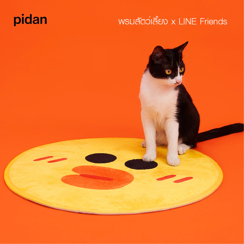 pidan Pet Mat x LINE Friends พรมสัตว์เลี้ยง แผ่นรองนอน ฟองน้ำขนนุ่ม ลายเป็ดเหลือง (Sally)