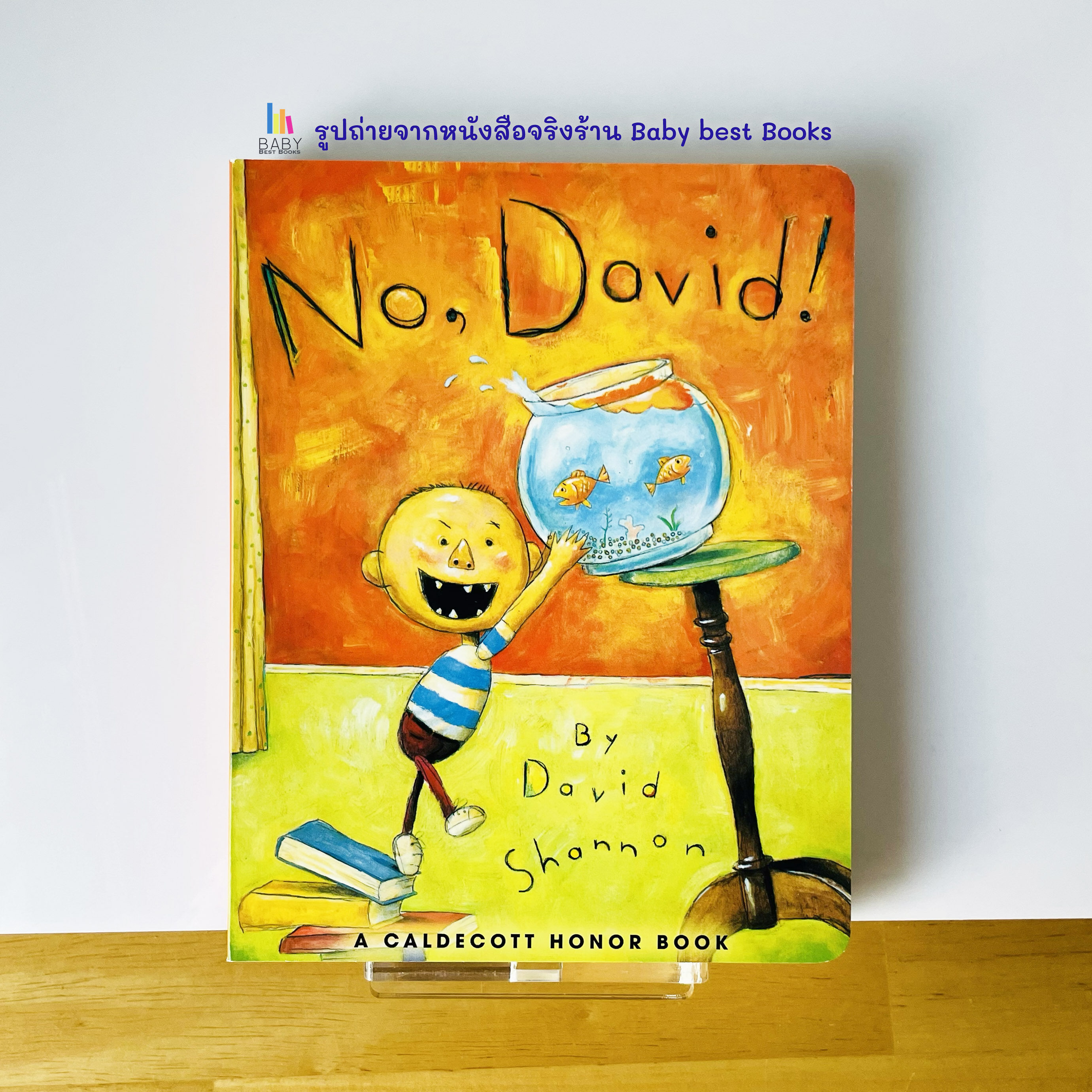 หนังสือนิทานภาษาอังกฤษ　David　หนังสือเด็ก　Shannon　No,David!　by