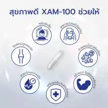 ภาพขนาดย่อของภาพหน้าปกสินค้าXAM-100 ผลิตภัณฑ์เสริมอาหาร 1 กระปุก ขนาด 1 เดือน 30 แคปซูล แถมฟรี POZ-B Postbiotic จำนวน 2 ซอง จากร้าน Thelabofficial บน Lazada ภาพที่ 3