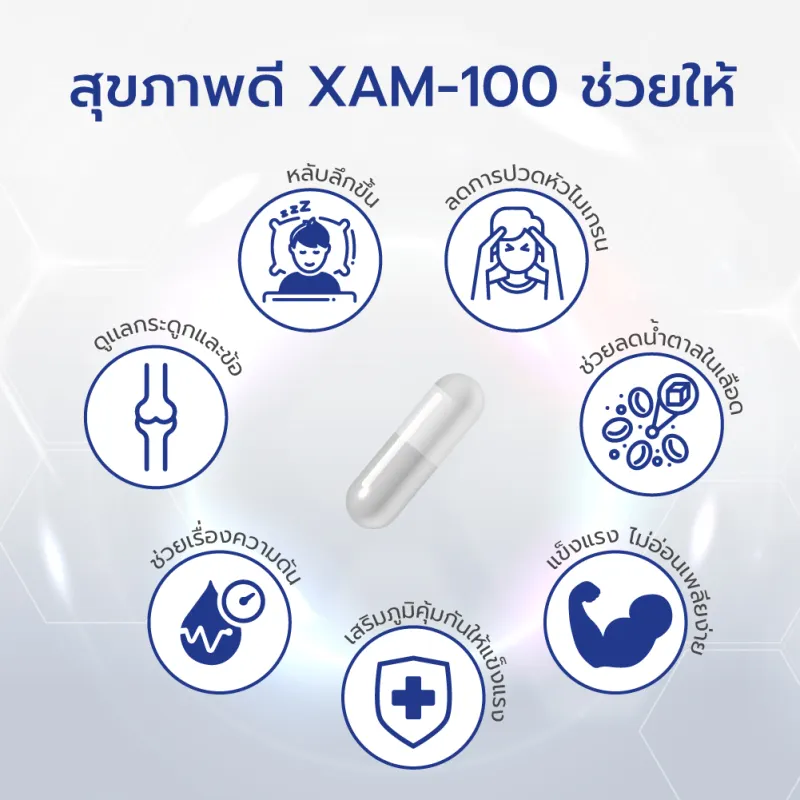 ภาพสินค้าXAM-100 ผลิตภัณฑ์เสริมอาหาร 1 กระปุก ขนาด 1 เดือน 30 แคปซูล แถมฟรี POZ-B Postbiotic จำนวน 2 ซอง จากร้าน Thelabofficial บน Lazada ภาพที่ 3