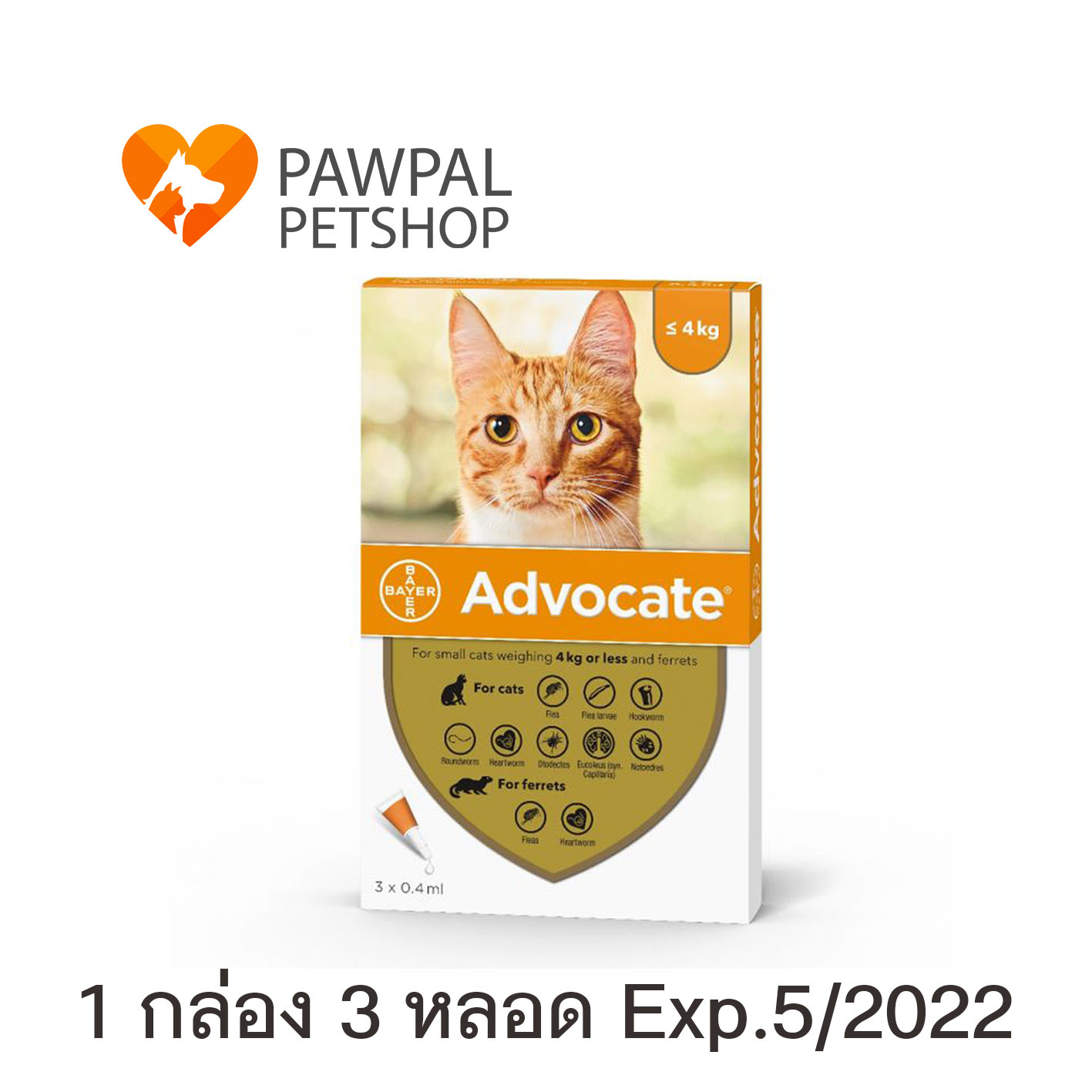 Advocate แอทโวเคท Bayer แมว ลูกแมว 0-4 kg Exp.6/2022 หยดหลัง หยอดหลัง สีส้ม Spot on Solution cat kitten (1 กล่อง 3 หลอด)