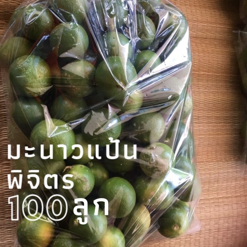มะนาวแป้น มะนาวแป้นพิจิตร 100 ลูก ลูกใหญ่ เนื้อฉ่ำ ให้น้ำเยอะ l มะนาว น้ำมะนาว