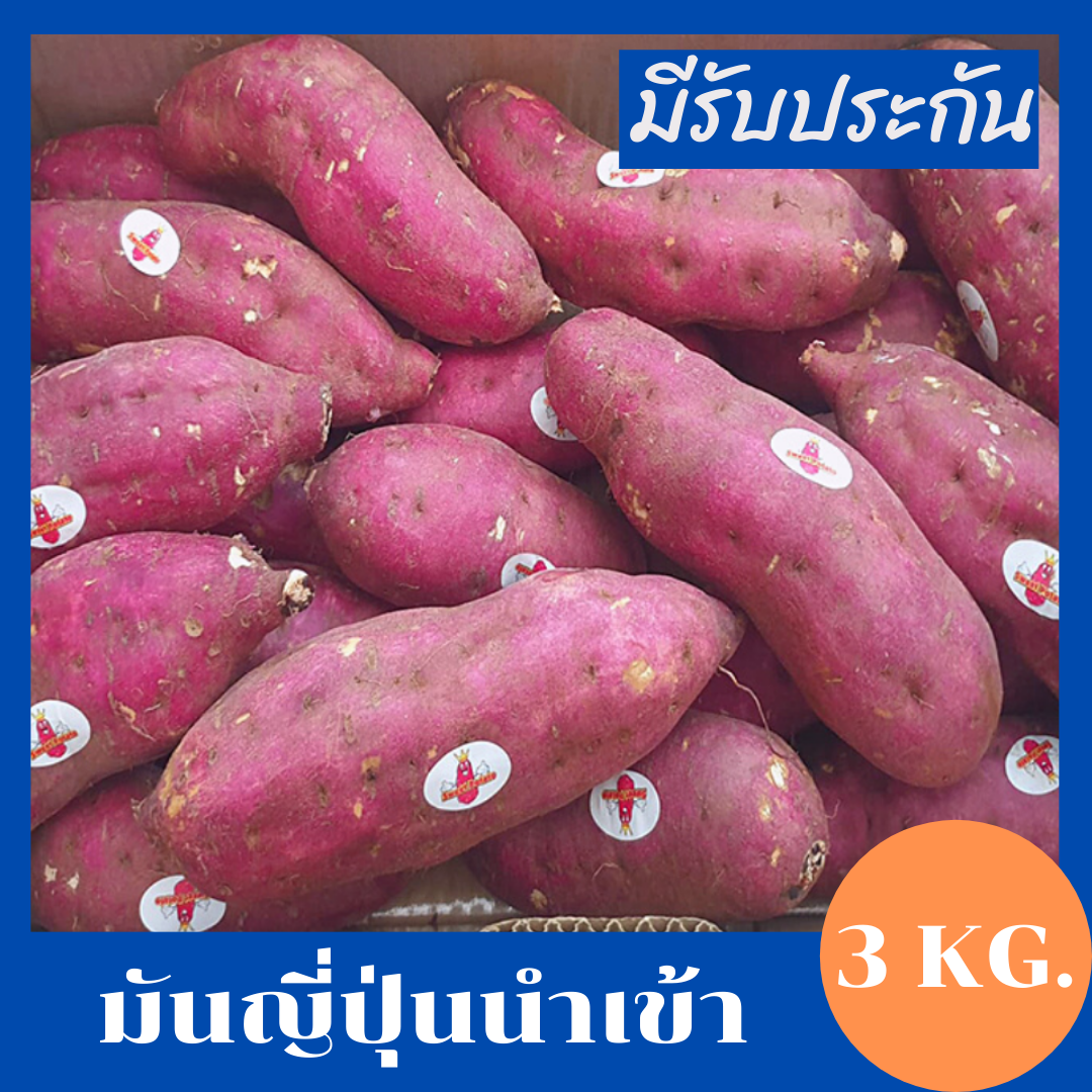 ? มันหวานญี่ปุ่น Japanese Sweet Potato มันเบนิฮารุกะ 3 kg. ขายดี รสชาติหวาน เนื้อเหลือง รับประกัน