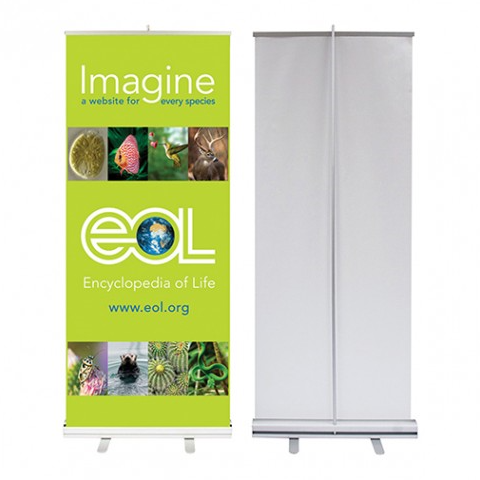 Roll up stand,Economic type (พลาสติก) รุ่นRU-E (size)85x200cm