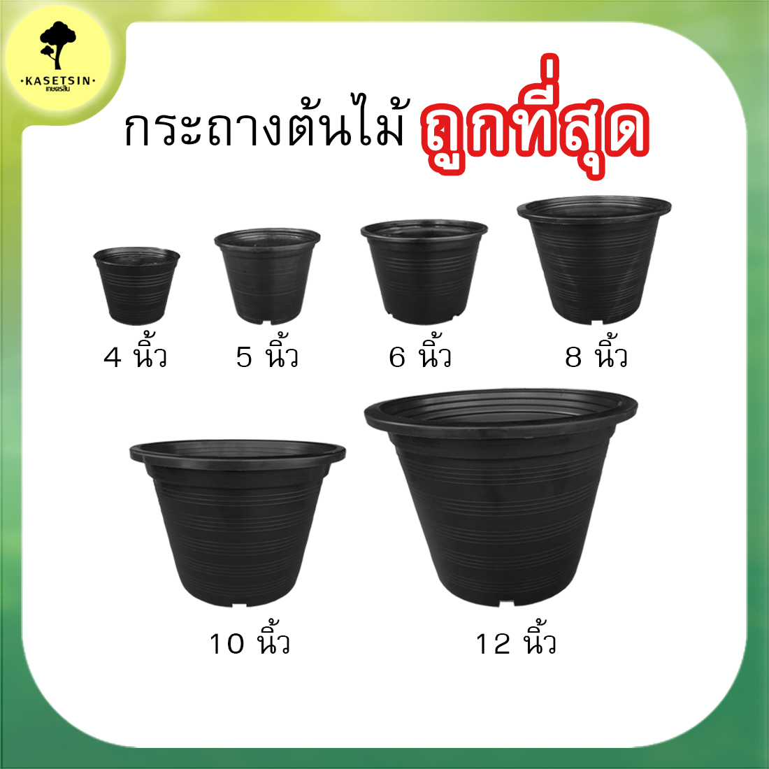 กระถางต้นไม้สีดำ กระถางเพาะชำ พลาสติก สีดำ 4 นิ้ว 5 นิ้ว 6 นิ้ว 8 นิ้ว 10 นิ้ว 12 นิ้ว