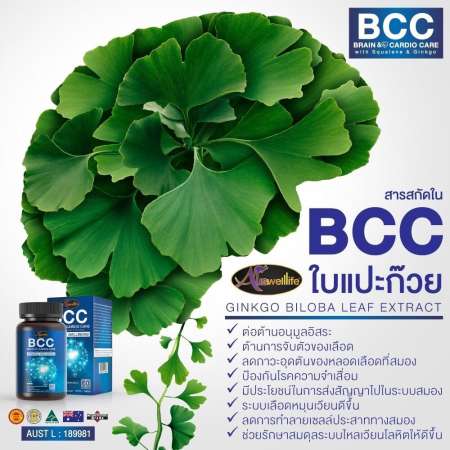 Auswelllife BCC (Brain  Cardio Care) with Squalene  Ginkgo  อาหารเสริม บำรุงสมองและระบบประสาท  60 แคปซูล 1 กระปุก (ของแท้ 100%)