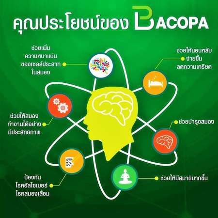 Bacopa บาโคพา อาหารเสริม ฟื้นฟูความจำ โรคพาร์กินสัน บำรุงสมอง อย่างมีประสิทธิภาพ ช่วยความจำพัฒนาการเรียนรู้ แก้สมาธิสั้น จำยาก ลืมง่าย ฟื้นฟูความจำในผู้สูงอายุ เพิ่มสมาธิในเด็กวัยเรียน 1 กระปุก 60 เม็ด