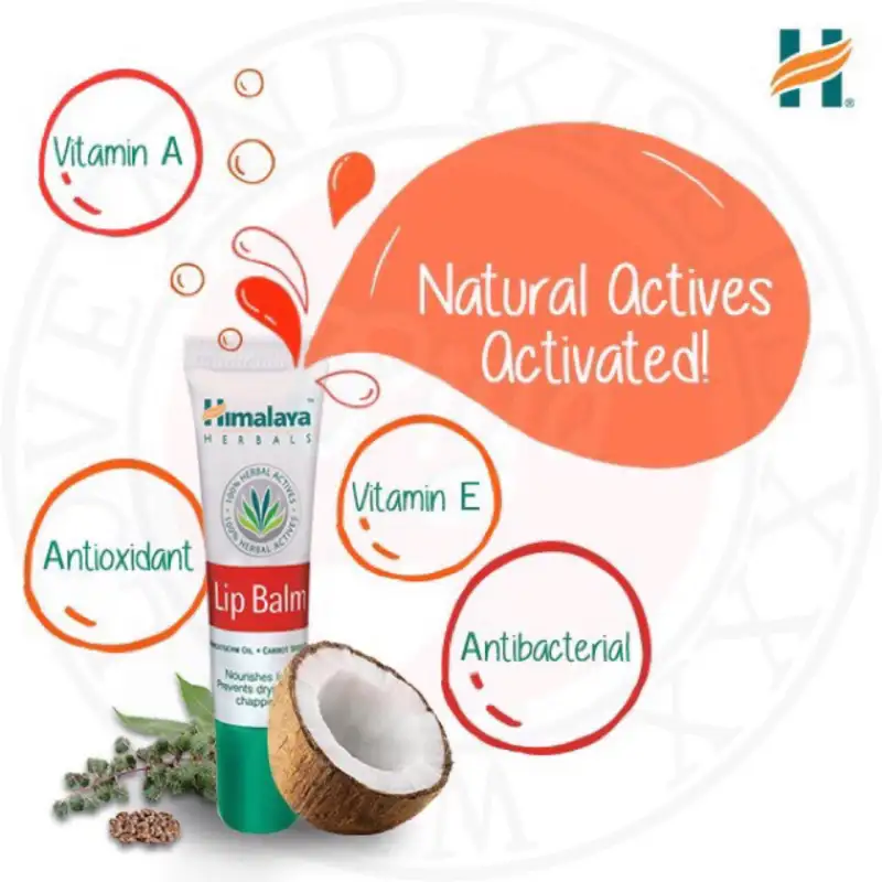 ภาพสินค้าHimalaya Herbals Lip Balm 10 g.ลิปปาล์มบำรุงริมฝีปากชุ่มชื่น จากร้าน amnartshop บน Lazada ภาพที่ 2