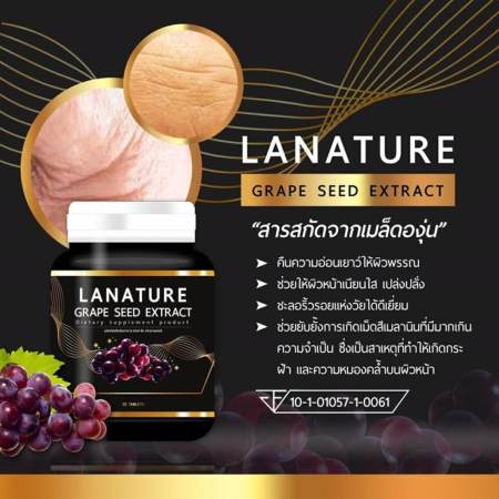 Lanature Grape Seed ลาเนเจอร์ สารสกัดจากเมล็ดองุ่น ทานทุกวัน ฝ้า กระ จางลง ผิวพรรณดีจากภายใน บรรจุ 30 เม็ด (1 กระปุก)